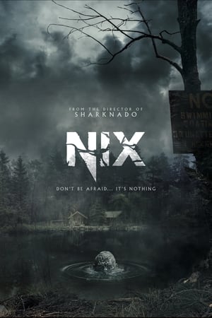 სიცარიელე | NIX