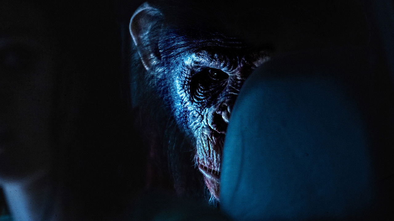 პრიმატი / Primate