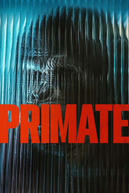 პრიმატი / Primate