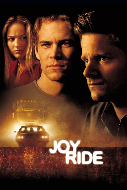 მხიარული მოგზაურობა / Joy Ride