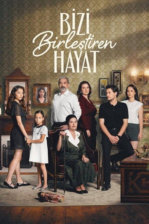 ჩემი ოჯახი / Bizi Birlestiren Hayat
