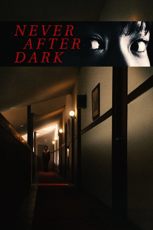 არასდროს დაღამების შემდეგ / Never After Dark