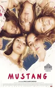 მუსტანგი / Mustang