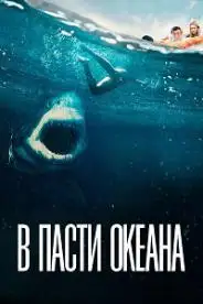 დიდი თეთრი ზვიგენი