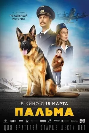 პალმა