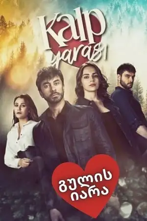 გულის ჭრილობა, გულის იარა